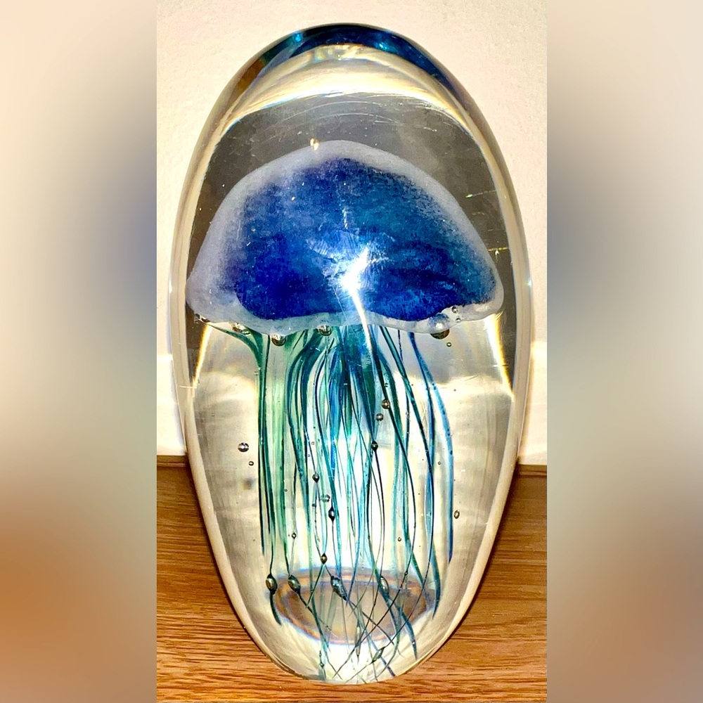 Real Jellyfish Paperweight